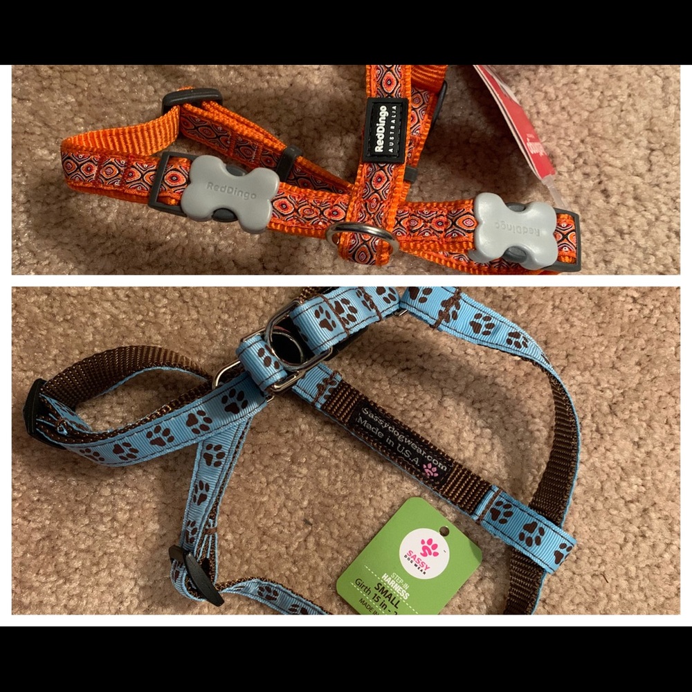 Dog Harness